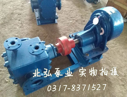 減速機(jī)傳動鑄鋼瀝青泵